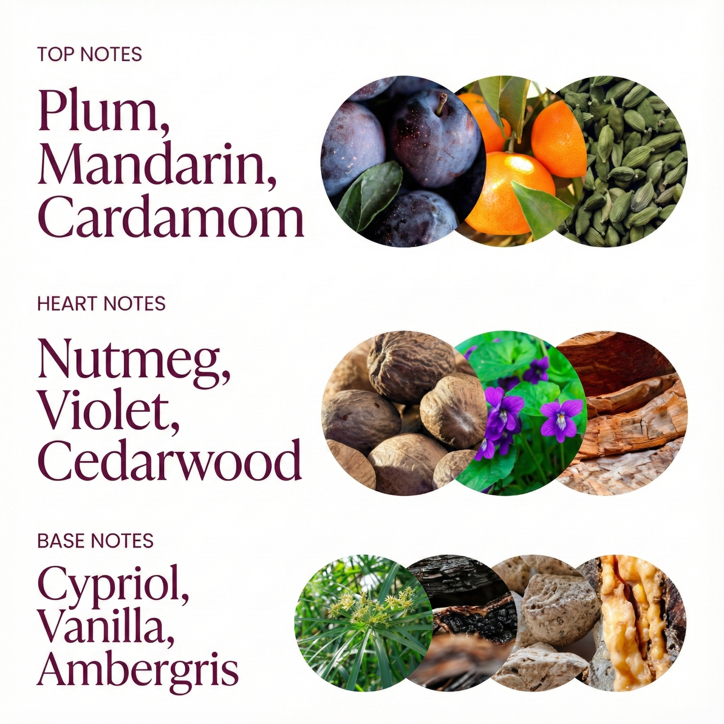 F/KN Loadout - Sampler Pack